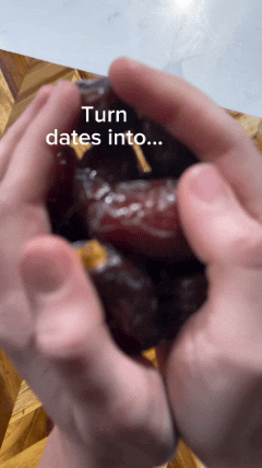 Forager Project Creator Reel